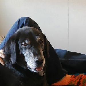 Meet your Posher, Janet